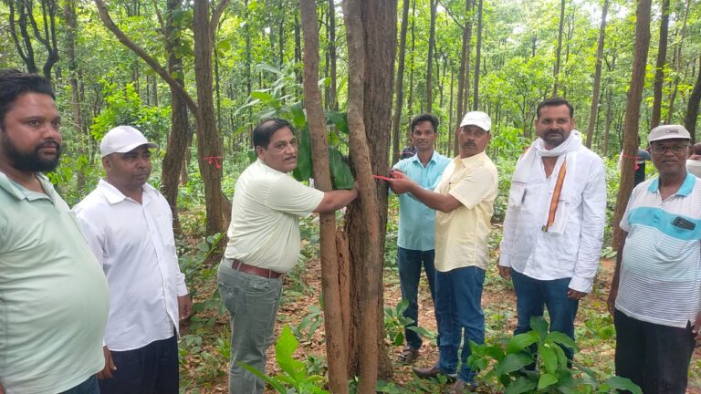 डीवीसी सीएसआर व वन संरक्षण समिति ने पिलपिलो में वन महोत्सव मनाया।