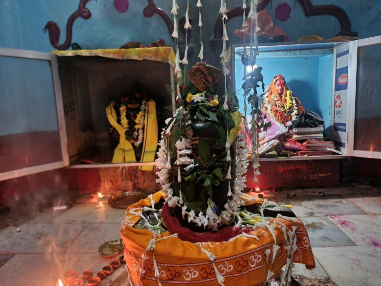 तेनुघाट पहाड़ी शिव मंदिर में पूरे धूम धाम और भक्ति पूर्वक रात्रि में श्रृंगार पूजा अर्चना की गई ।