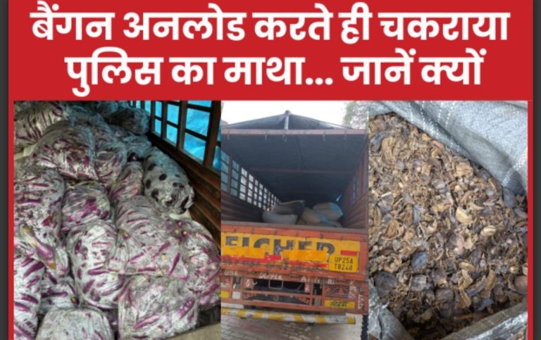 बैंगन अनलोड करते ही चरकाया पुलिस का माथा… जानें क्यों