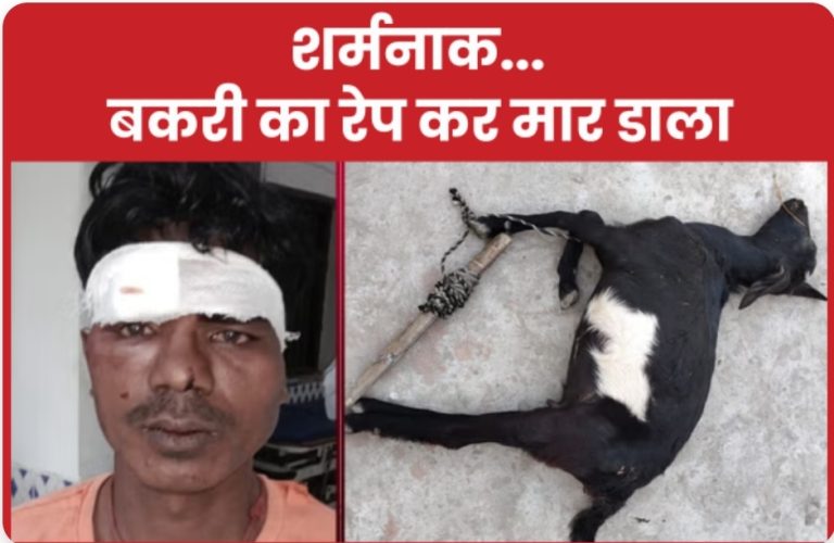 शर्मनाक : बकरी का रे’प कर मा’र डाला