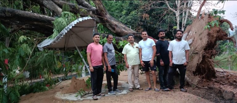 अनुमंडल पदाधिकारी मुकेश मछुवा के सरकारी आवास तेनुघाट में आंधी में विशाल पेड़ जड़ से उखड़ कर रस्ते में गिर गया