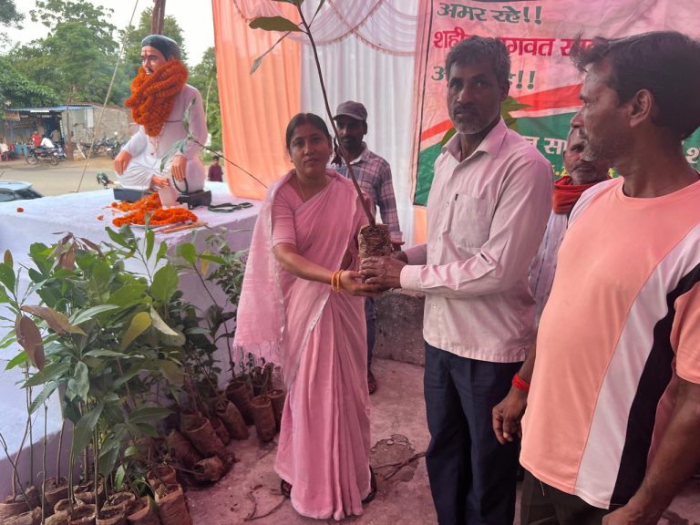 विश्व पर्यावरण दिवस पर जिप अध्यक्षा ने की 50 पौधों का वितरण।