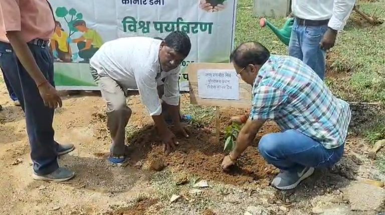 विश्व पर्यावरण दिवस पर कोनार डैम में पौधारोपण का आयोजन।