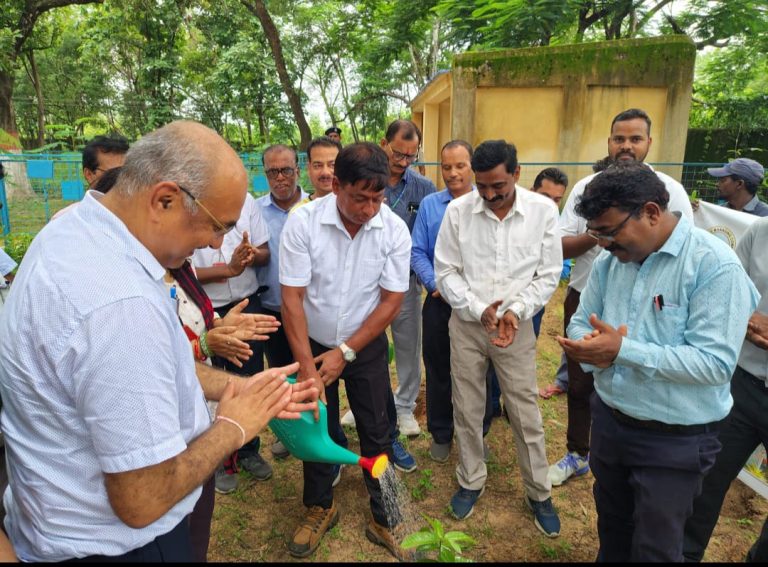 गुरुवार को डी ए वी पब्लिक स्कूल सीसीएल गिरिडीह के प्रांगण में हरियाली दिवस के अवसर पर वृक्षारोपण का कार्यक्रम संपन्न हुआ।