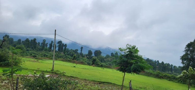 चट्टी- बारियातु से शिवपुर तक कोयला ढुलाई के लिये ट्रांसपोर्टिंग सड़क के निर्माण में बिचौलियों की लगी है गिद्ध नज़र