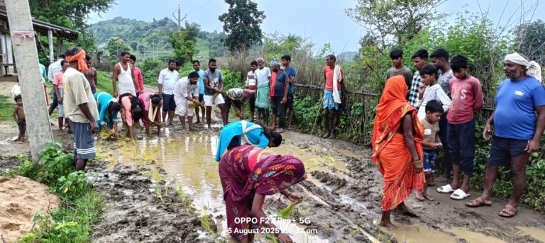 इमलियाटाँडृ रोड में लोगो क़ो पैदल चलना हुआ मुश्किल, नाराज ग्रामीणों ने रोड पर ही धान रोपण कर विरोध किया।