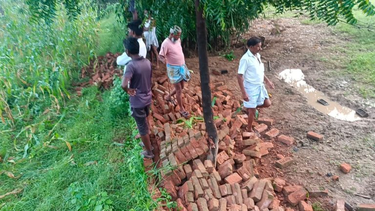 30 हाथियों का झुंड ने मचाई तबाही, कई दिवार को किया तबह