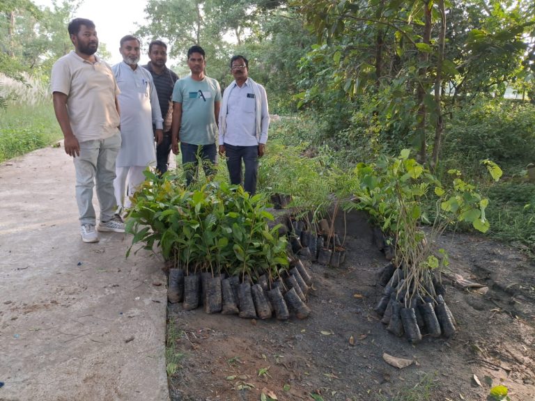 मास्टर मो0 अख्तर की अध्यक्षता में 250 पेड़ लगाए गये धमना में