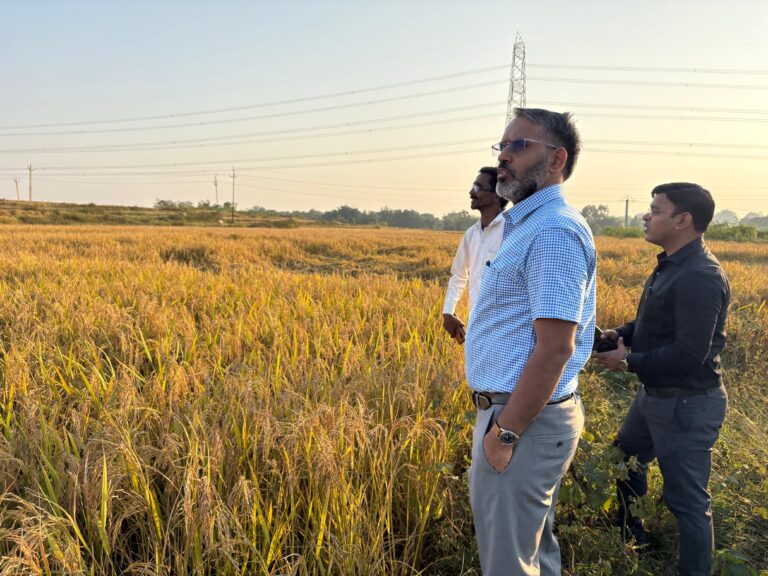 DMFT योजना मद के तहत क्रियान्वित उदवह सिंचाई योजना का मरम्मती निर्माण कार्य का अवलोकन