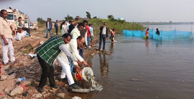 तेनुघाट — बेरमो अनुमंडल क्षेत्र के तेनुघाट डैम स्थित तेनुघाट तीन नंबर घाट में लगभग 6 लाख मछलियों का संचयन किया गया।