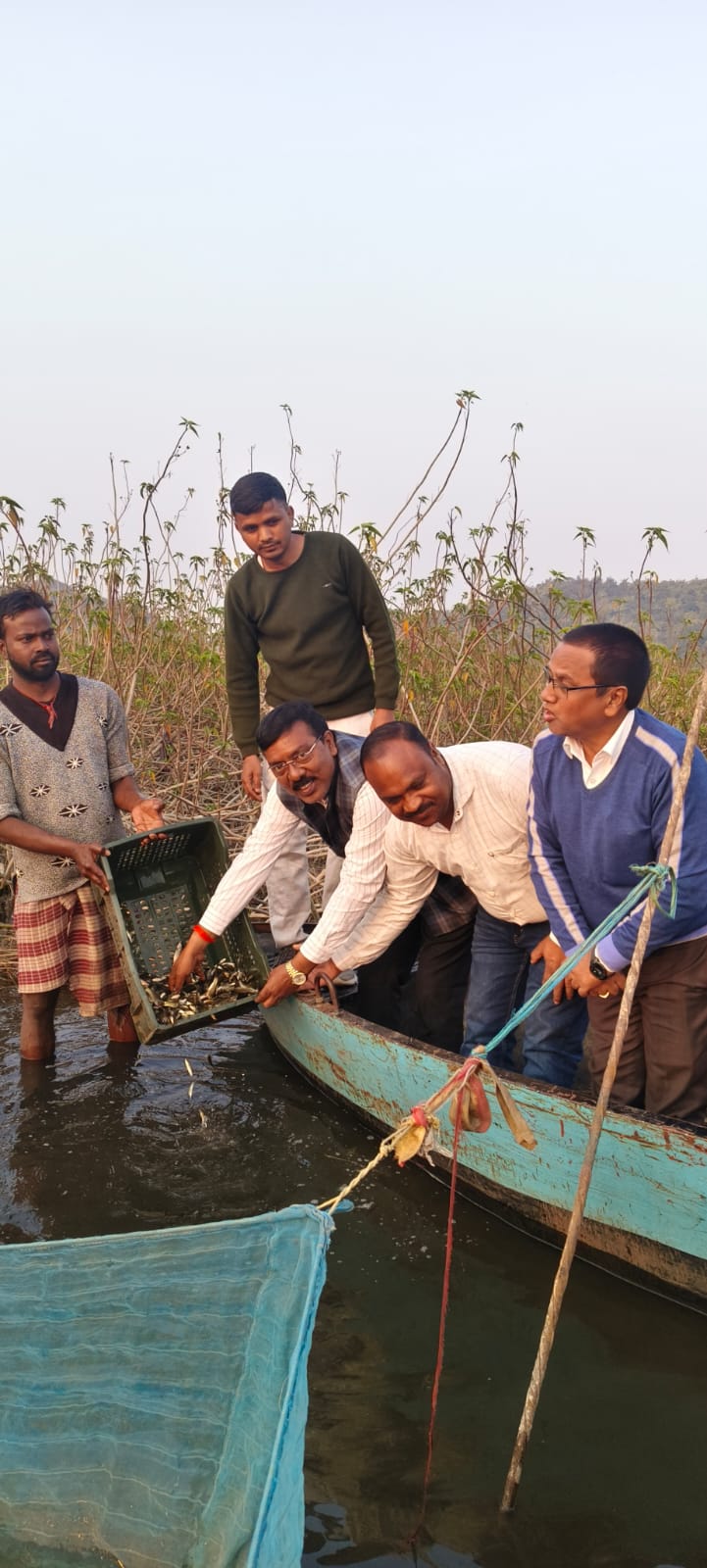 मत्स्य विभाग की ओर से पतरातू डैम के जराद केज साइट में लाखों मछली के बीज का संचयन किया गया