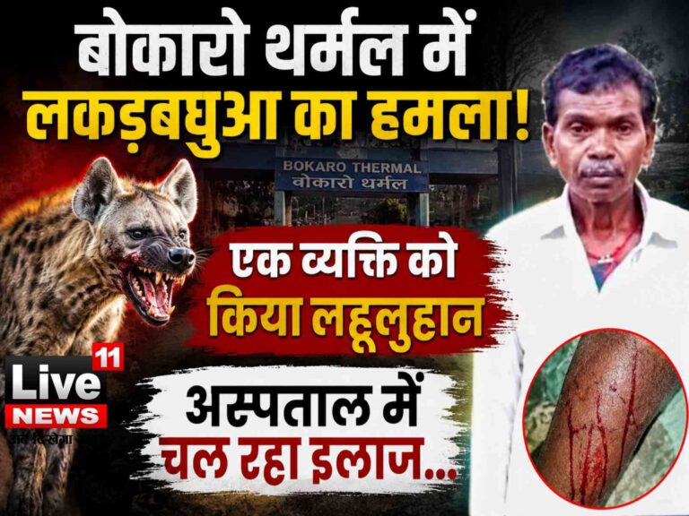 बोकारो थर्मल में लकड़बग्घे ने एक व्यक्ति को किया लहूलुहान, अस्पताल में चल रहा इलाज…